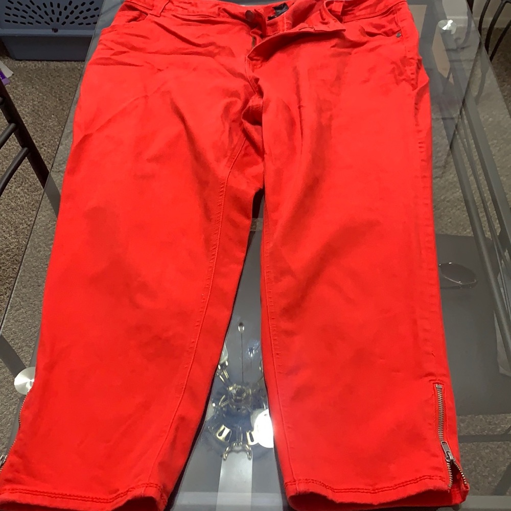 Size 22 Lane Bryant Zipped Up Ankles